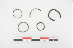 Foto von Bronzering (NHMW-PRAE-026654)